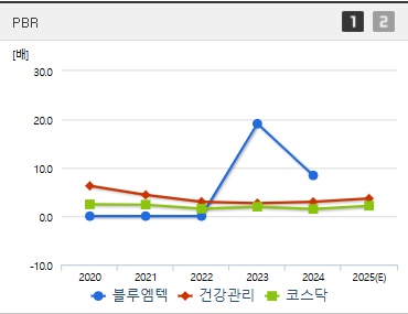 블루엠텍 주가 PBR (0508)