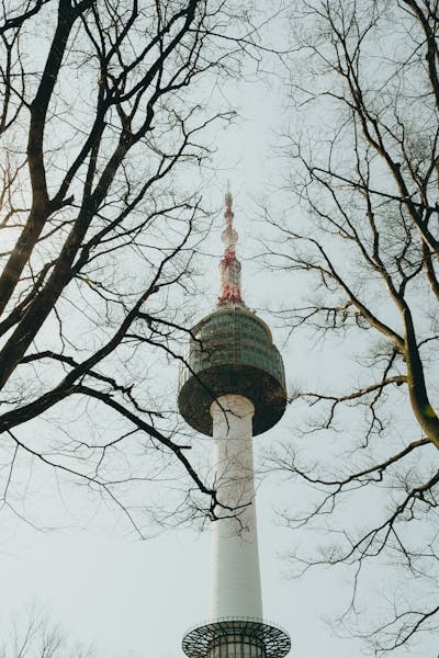 공기청정기 필터 교체비용 분석