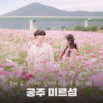 공주 가볼만한곳 맛집 카페 추천 실내 사진 명소_7