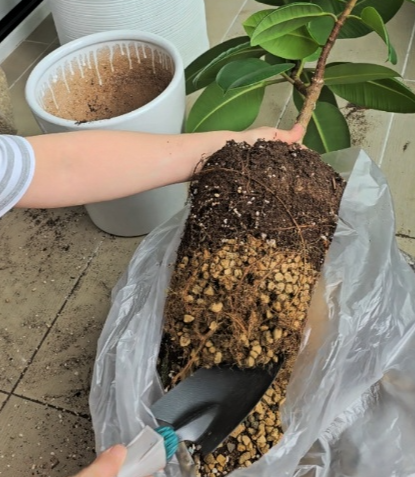 삽으로 아랫부분을분리해주어요