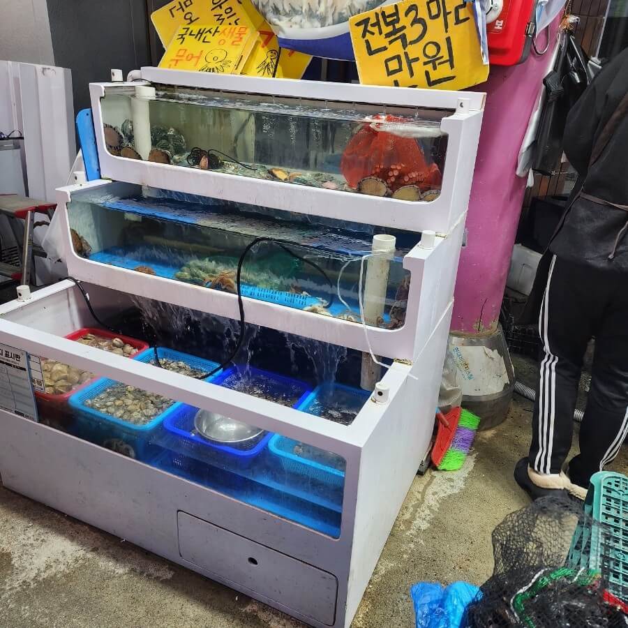 6시 내고향 충북 청주 가경터미널시장 &amp; 맛집 3곳 총정리&amp;#44; 주차정보