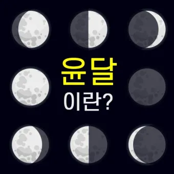 윤달은 몇년마다 오는지 윤년과 차이점 완전 정리_10