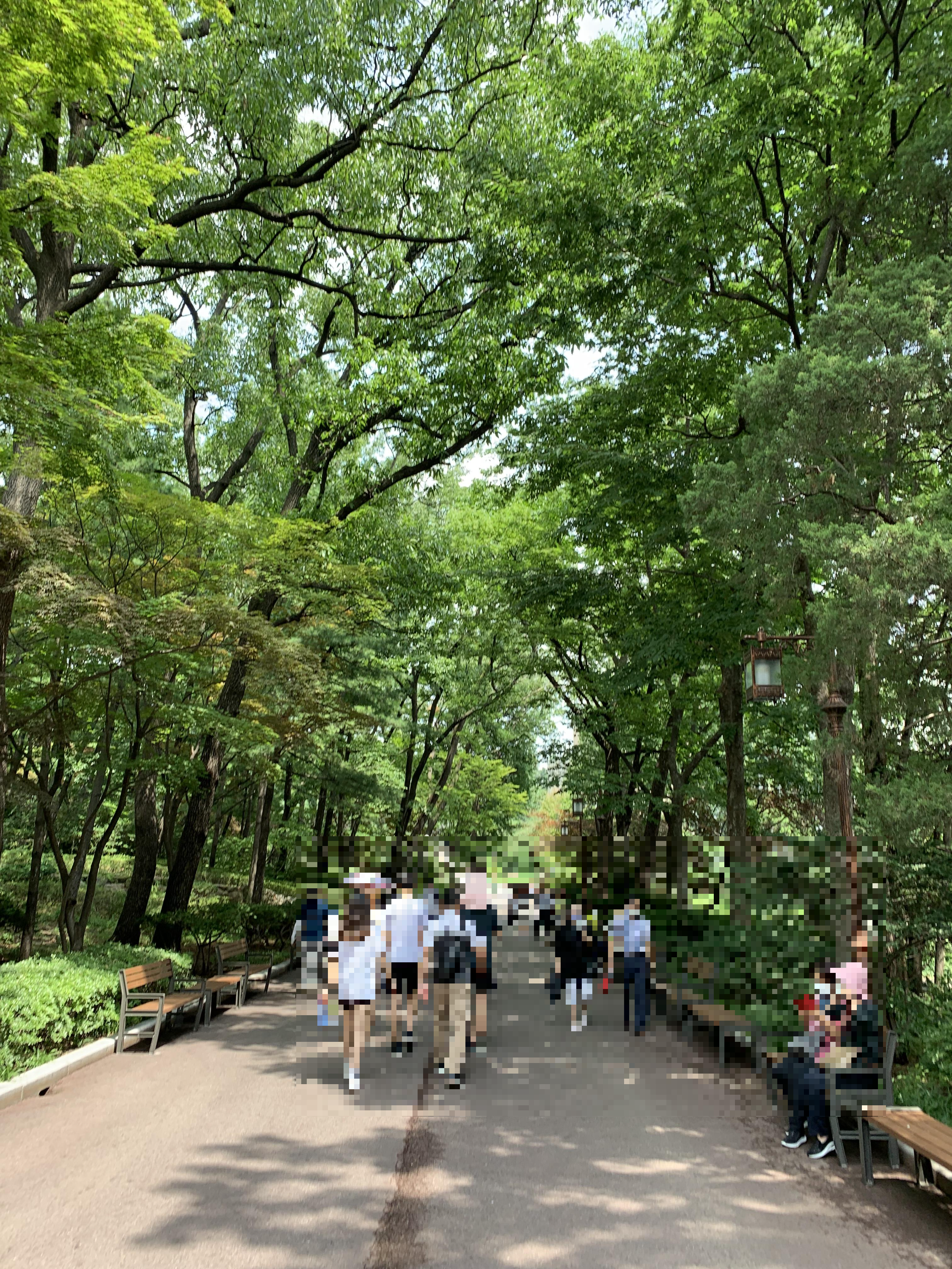 청와대 내부 정원