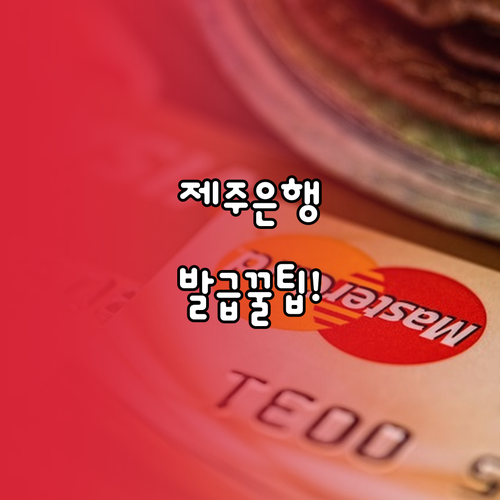 제주은행 모두의카드 온라인 신청 및 ..