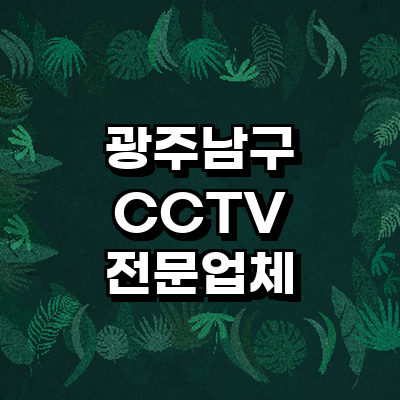 광주 남구 cctv