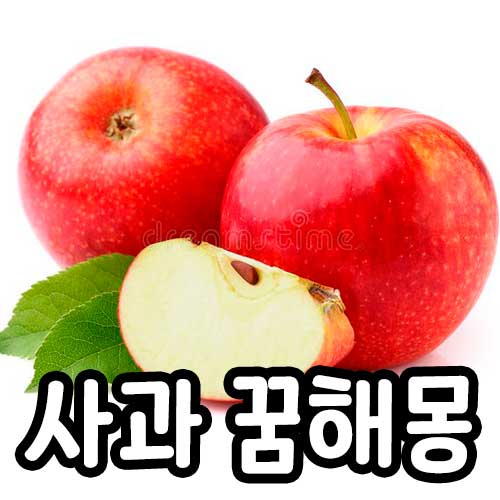 사과 꿈해몽 썸네일