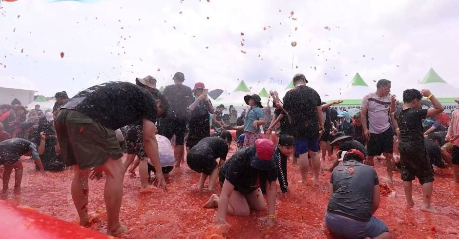 횡성 둔내고랭지 토마토축제