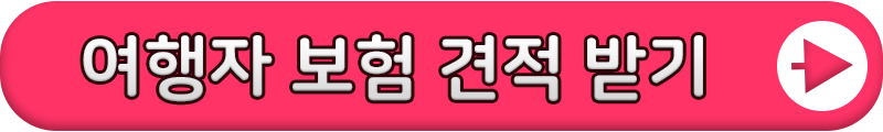 여행자보험