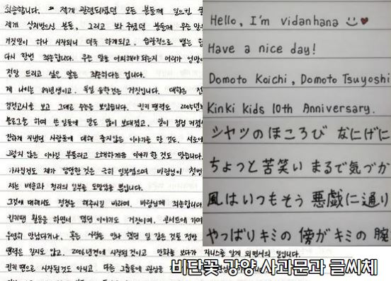 비단꽃 강양 글씨체 비단꽃 강양 사과문