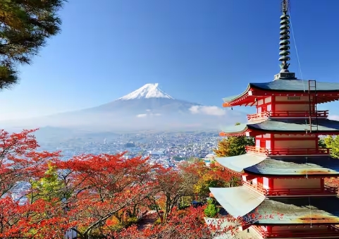 연쇄구균독성쇼크증후군 원인 증상 예방 치료