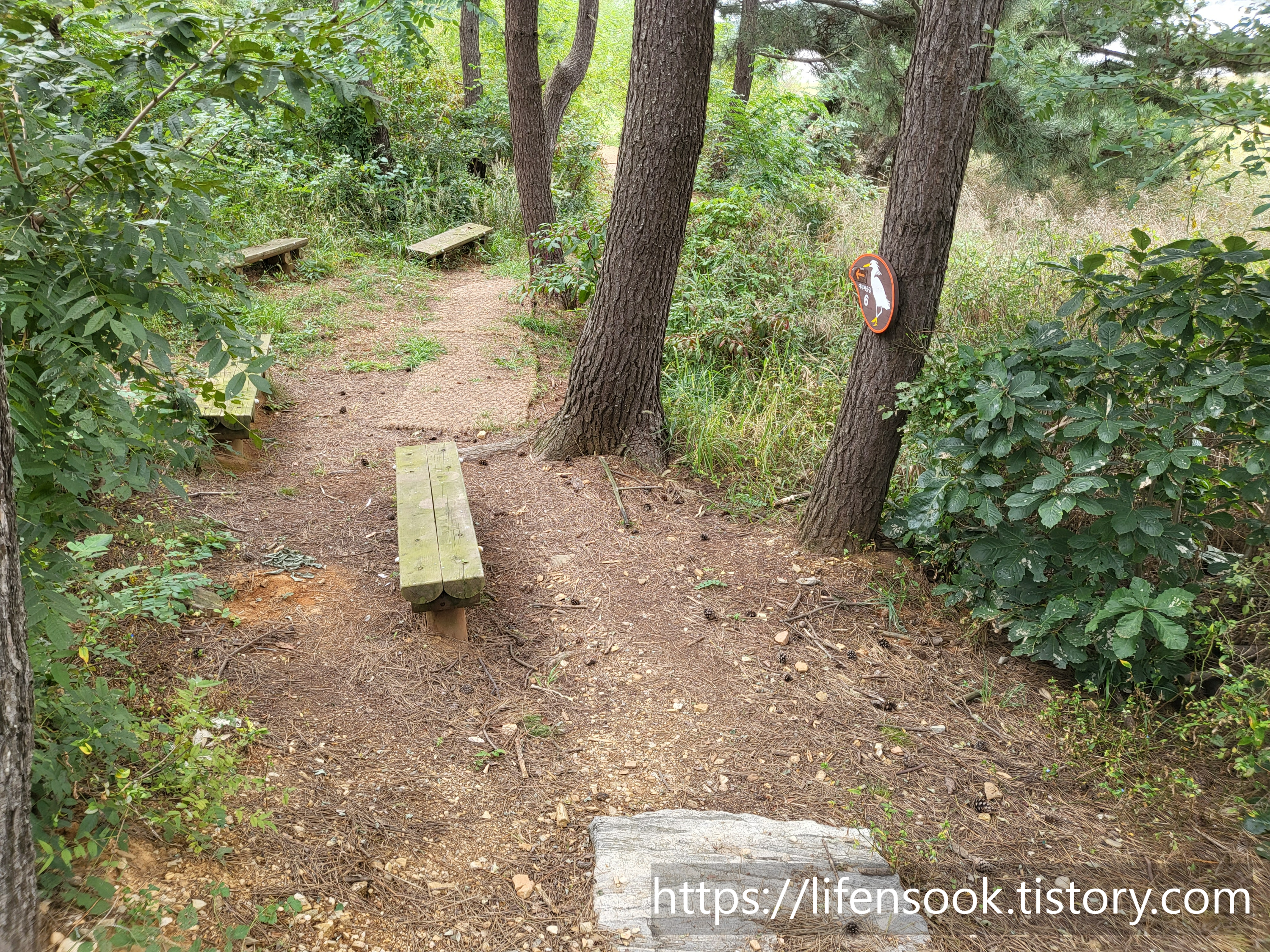 대부해솔길 6코스 이정표 3