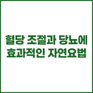 혈당 조절과 당뇨에 효과적인 자연요법