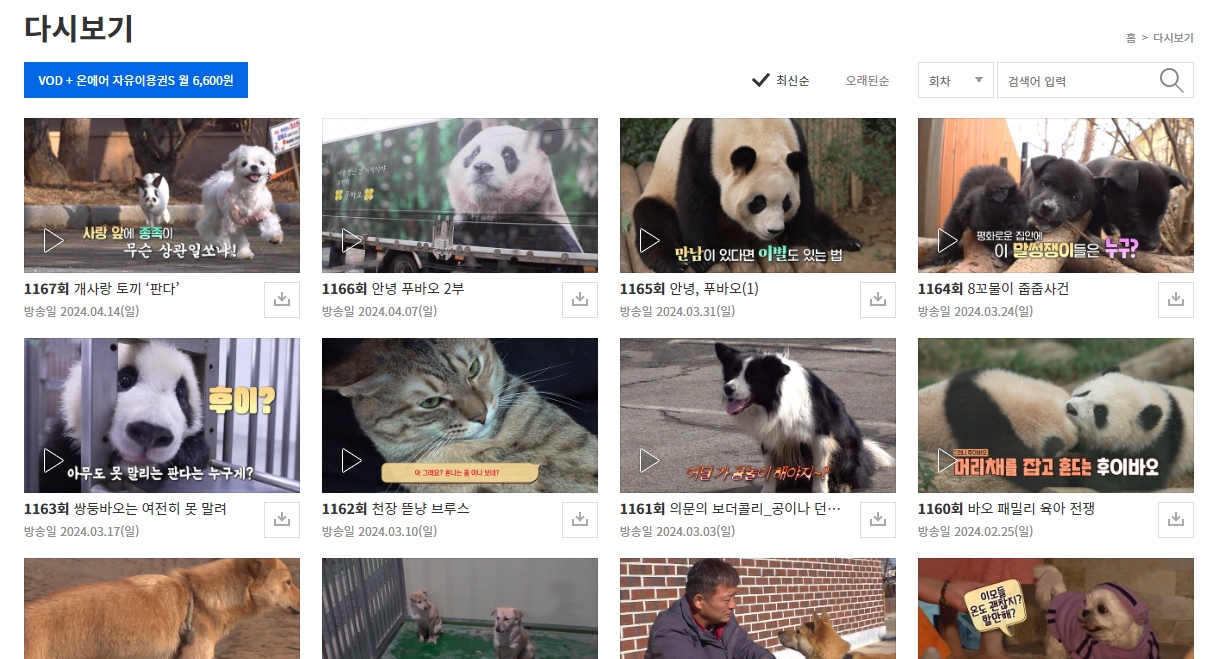 최신 회차부터 과거 방송분까지 정렬된 다시보기 목록 리스트