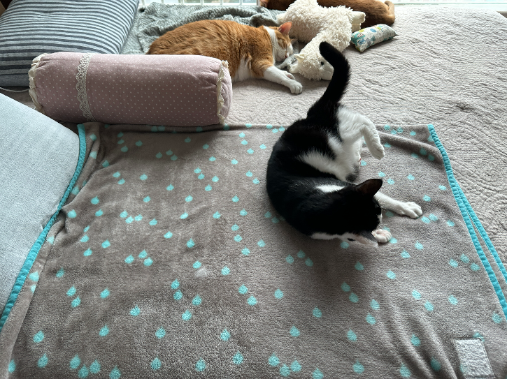 한바퀴_구르고_나서