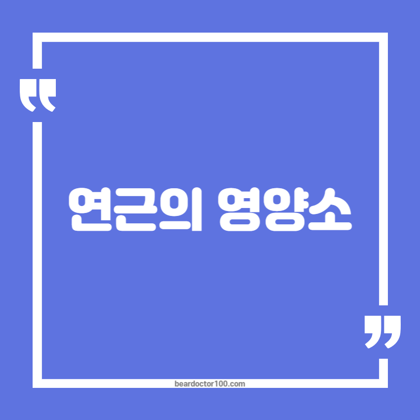 연근의 영양소