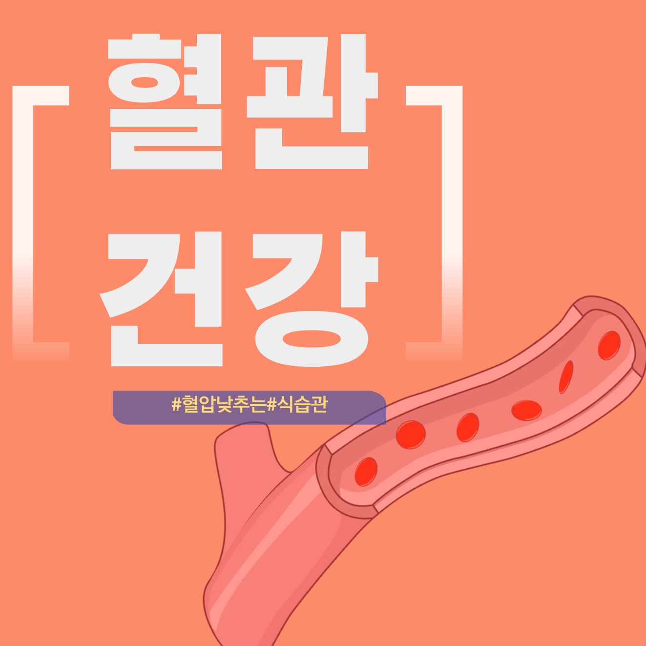 중장년 혈압 낮추는 음식 BEST 5