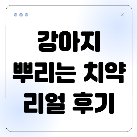 강아지 뿌리는 치약? 치석·입냄새 잡은 리얼 후기