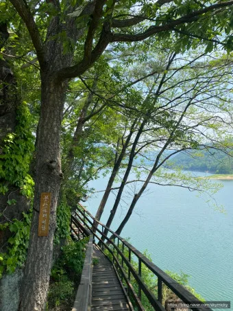 옥천 가볼만한곳 베스트10 현지인 추천 필수코스_16