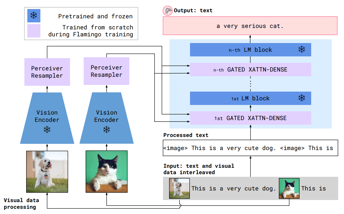 Overview of the Flamingo model