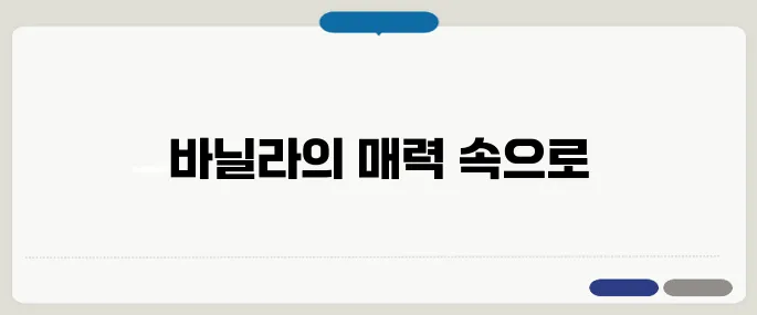 바닐라 향과 맛 제대로 즐기는 법