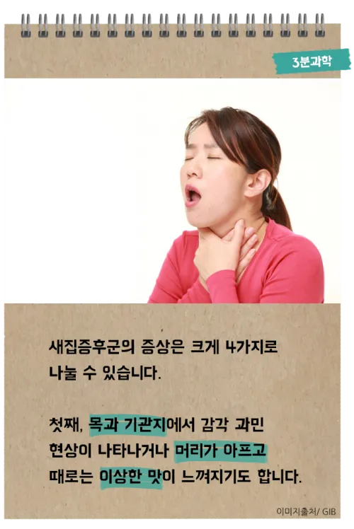 새집증후군 원인 제거 방법 포름알데히드 완전 가이드_5
