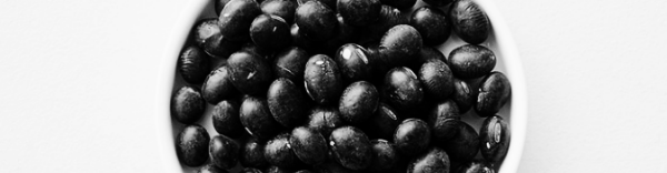 메주콩 파종시기: 5월 초 ~ 5월 중순