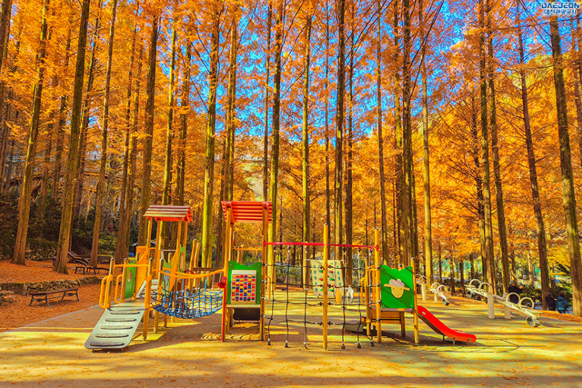 장태산 자연휴양림 스카이웨이 스카이타워 단풍 가을 여행지 대전 14