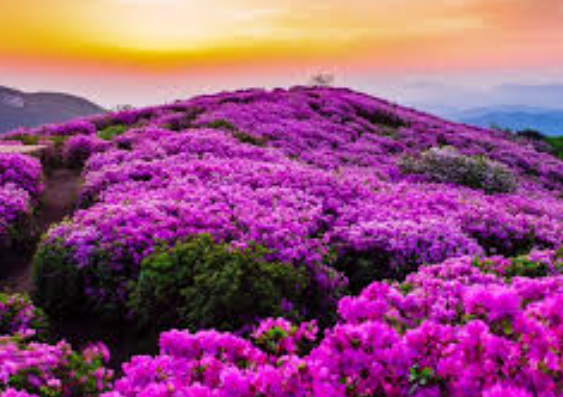 5월 국내여행지 베스트