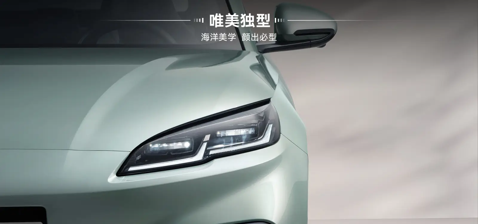 BYD(비야디) 전기 자동차 씰