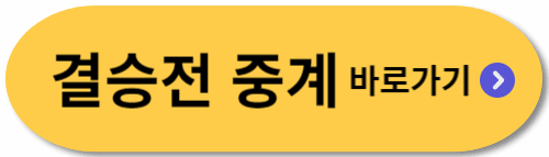 유로-결승전-축구중계