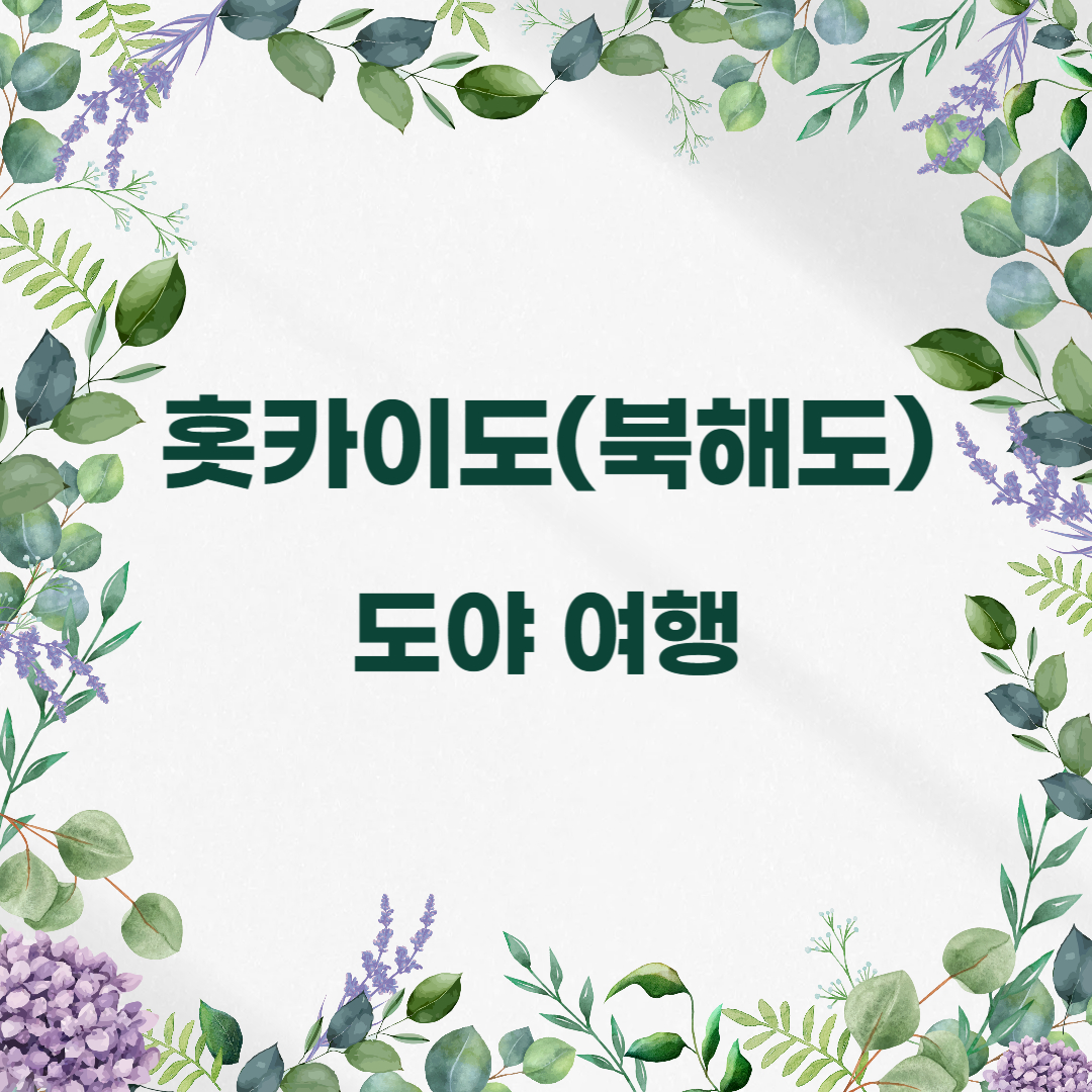 홋카이도 북해도 도야 여행