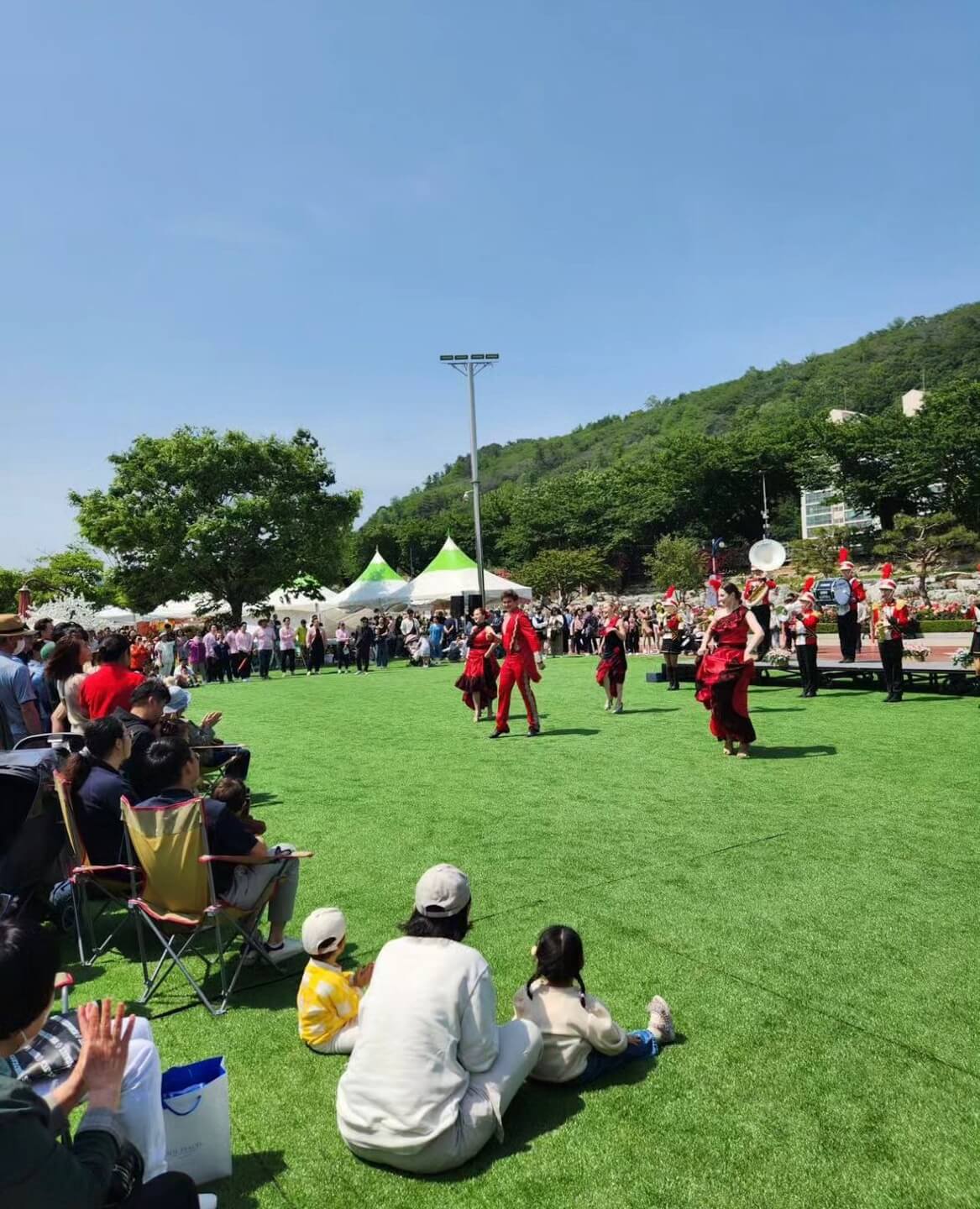 삼척 장미축제