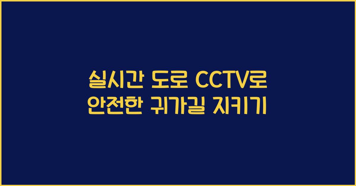 실시간 도로 cctv