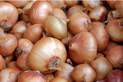 양파즙-효능9