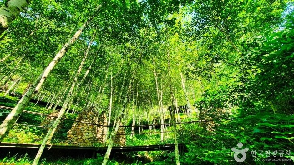 화담숲-자연경관-이미지