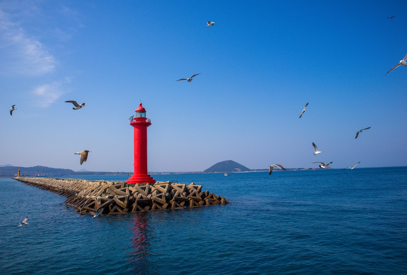 제주도 6월 날씨