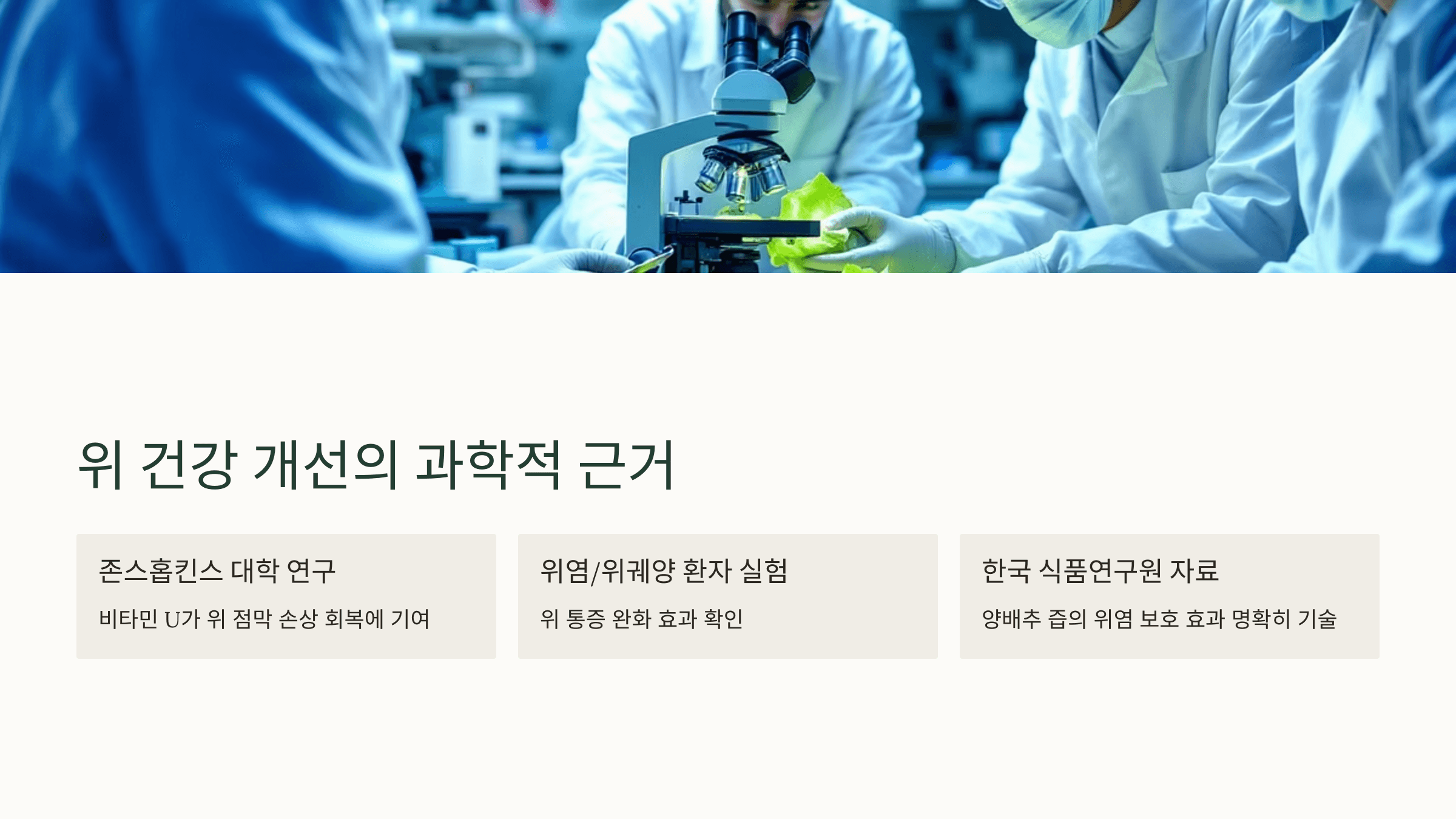 양배추 사진입니다.