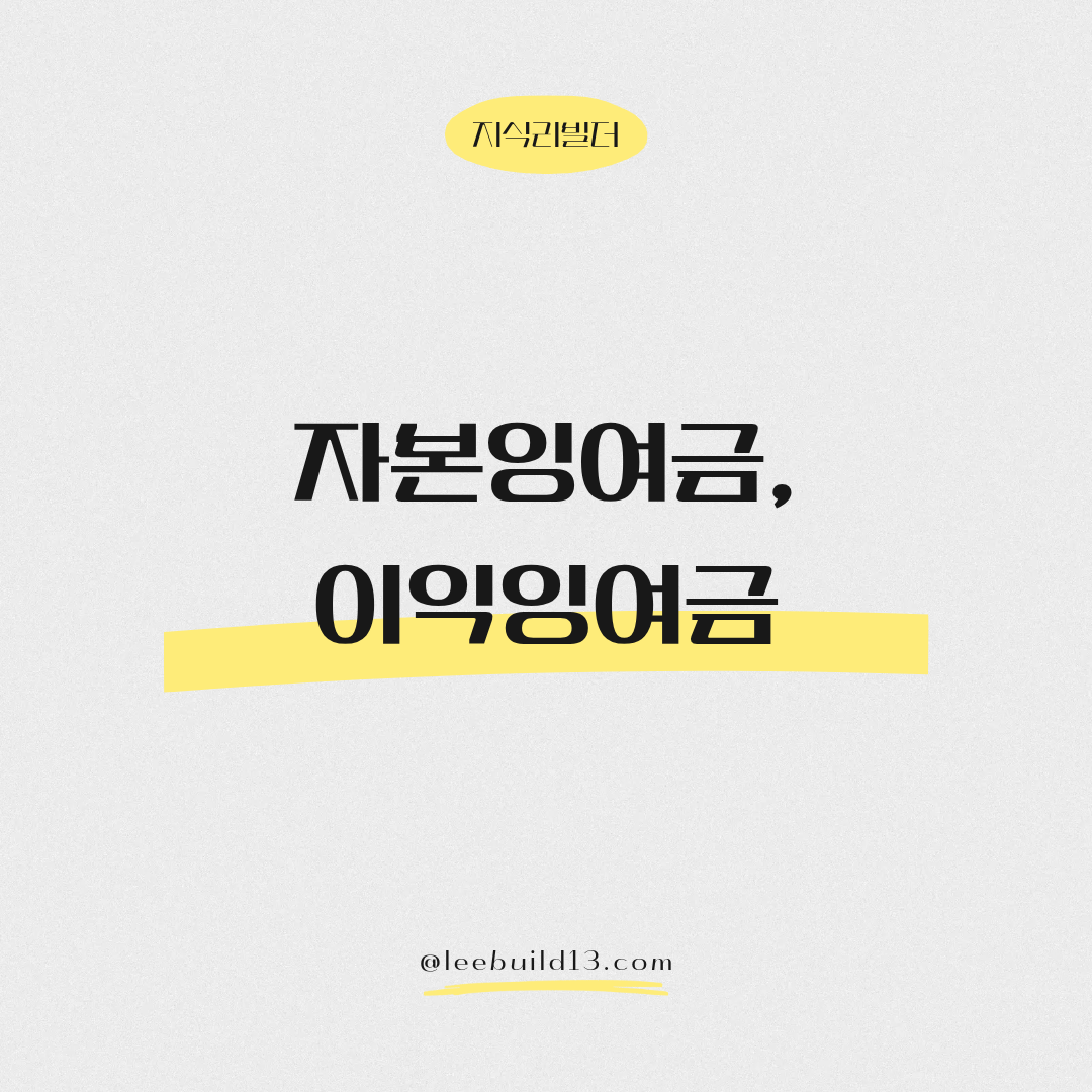 자본잉여금과 이익잉여금