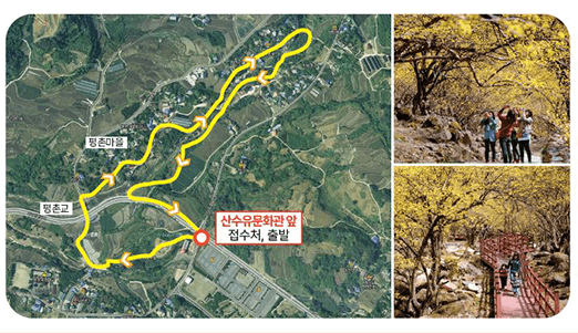구례 산수유축제