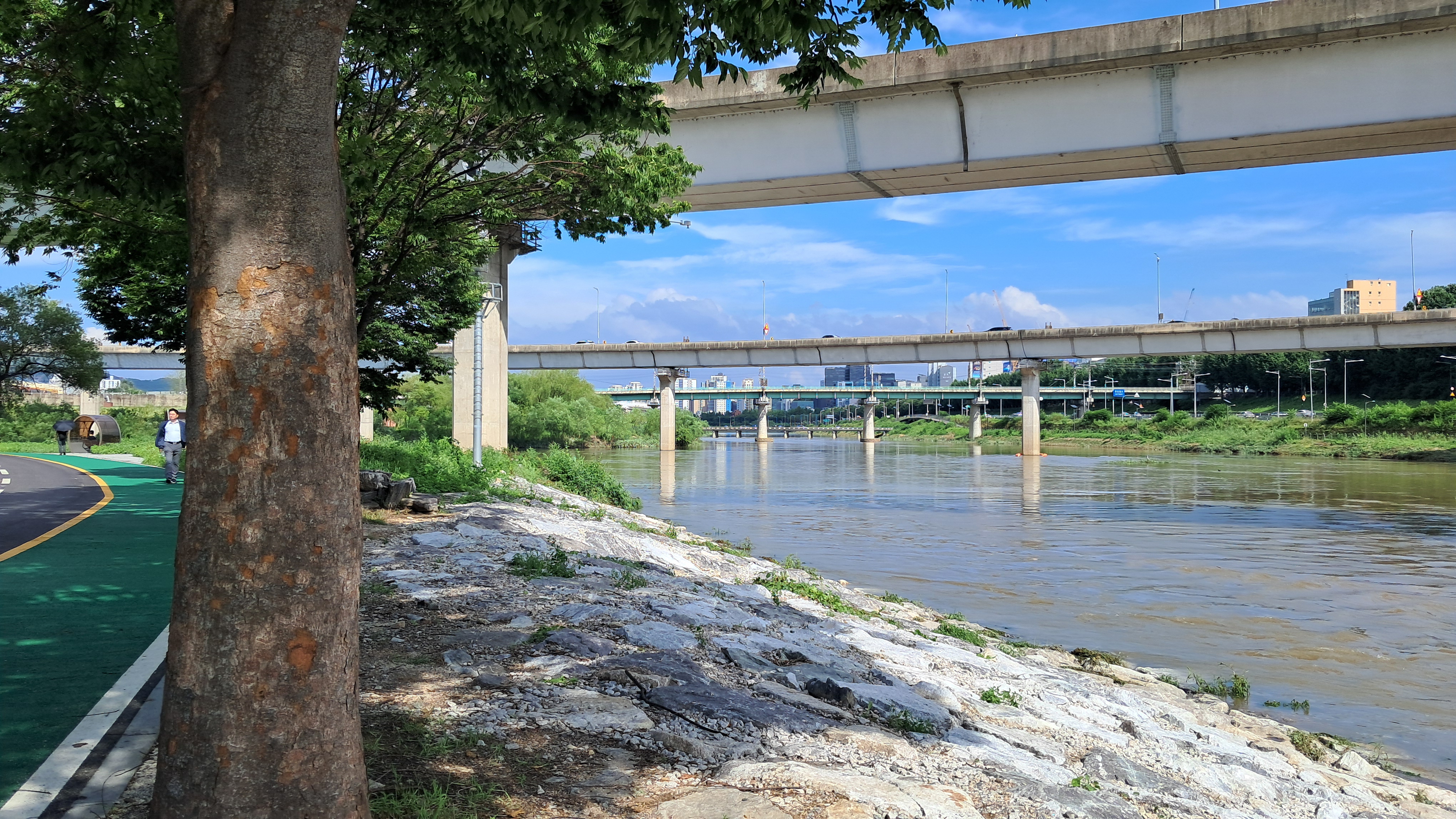 중랑천 청계천 합수부