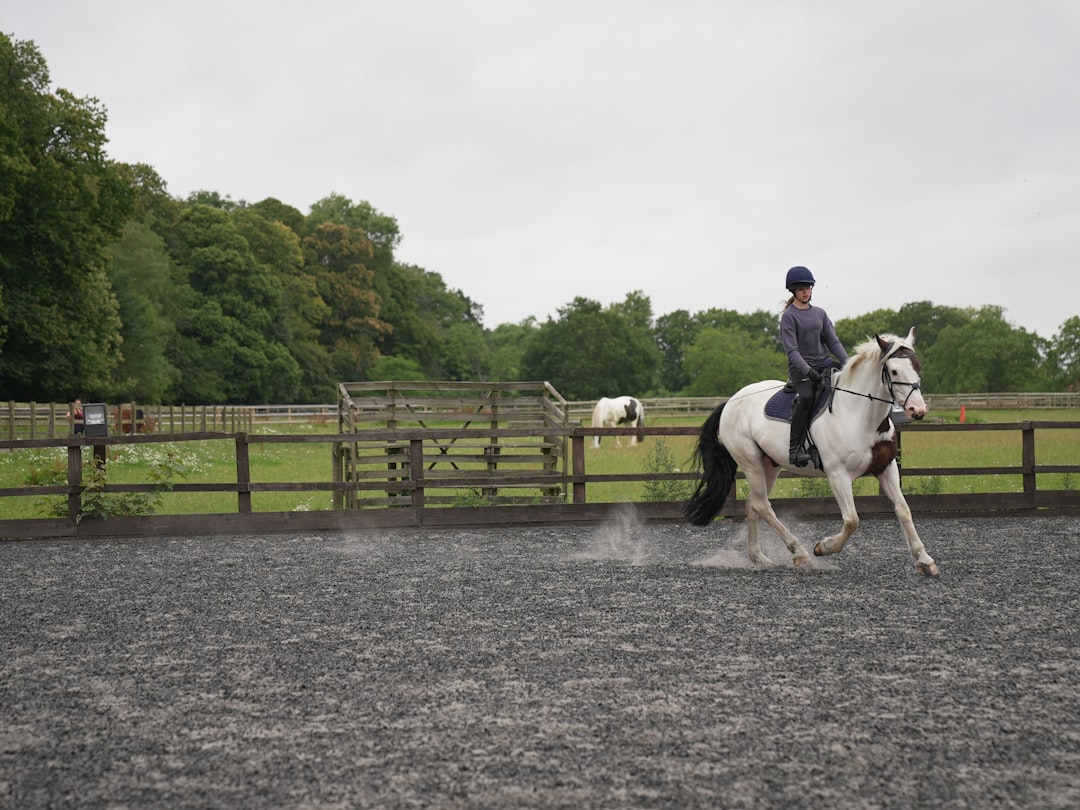 Trot