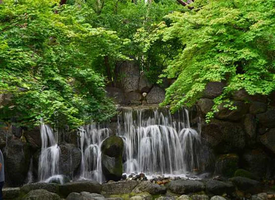 평화의공원