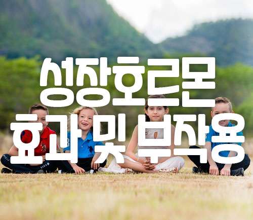 성장호르몬 효과 및 부작용