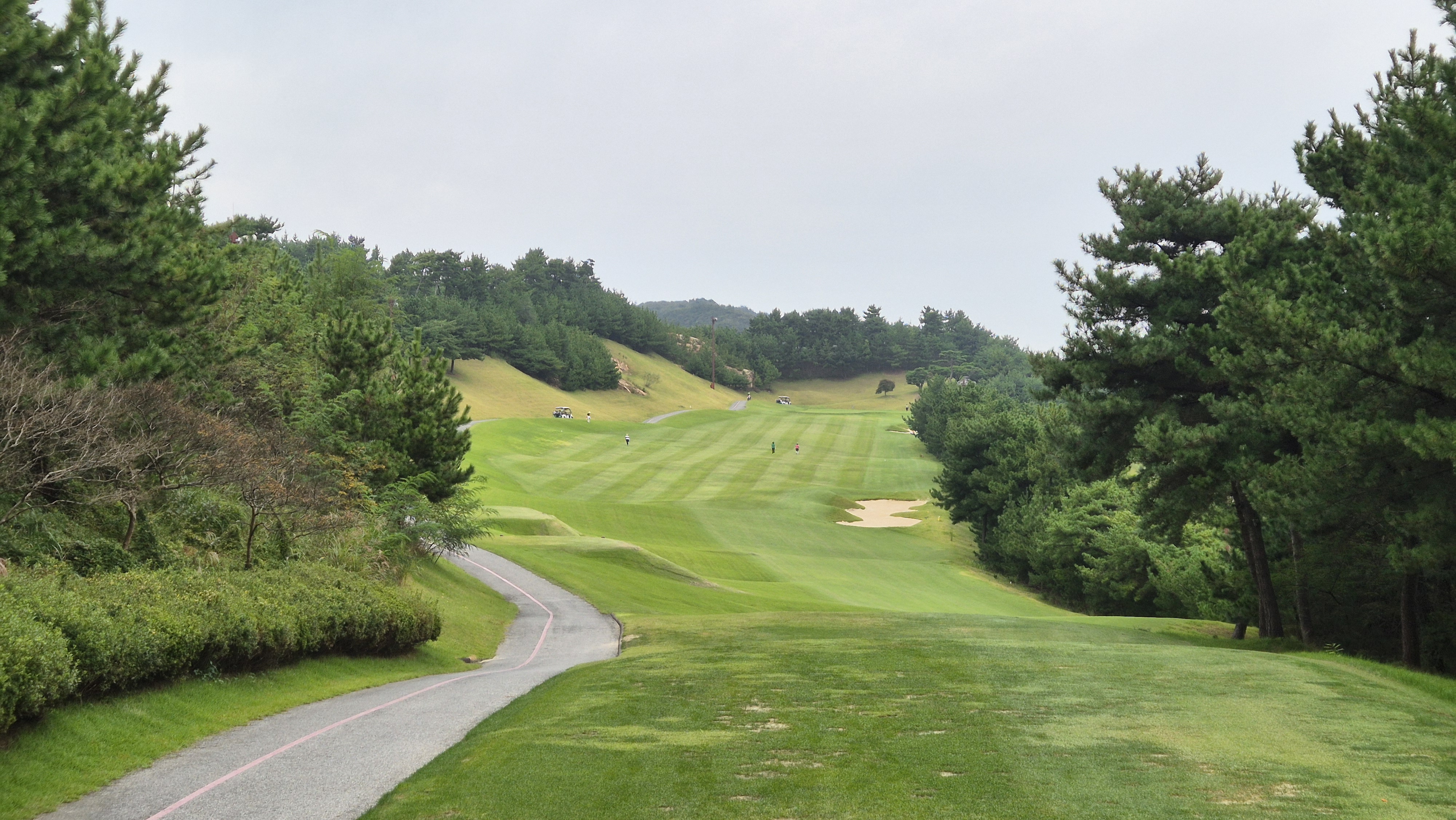 서산수cc 코스 사진 및 공략 정보