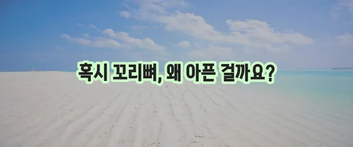 꼬리뼈 통증 원인 꼼꼼하게 파헤쳐 보자!