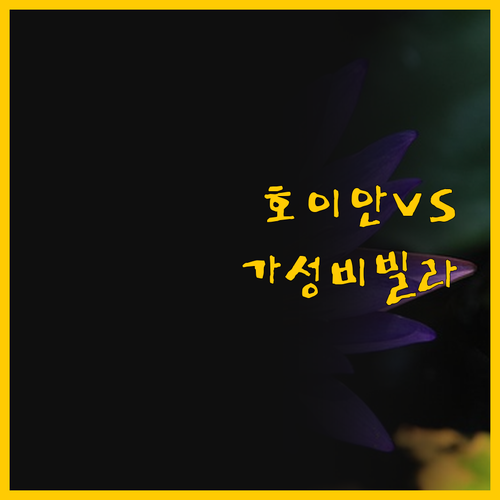 실제 후기로 분석한 호이안 가성비 빌..