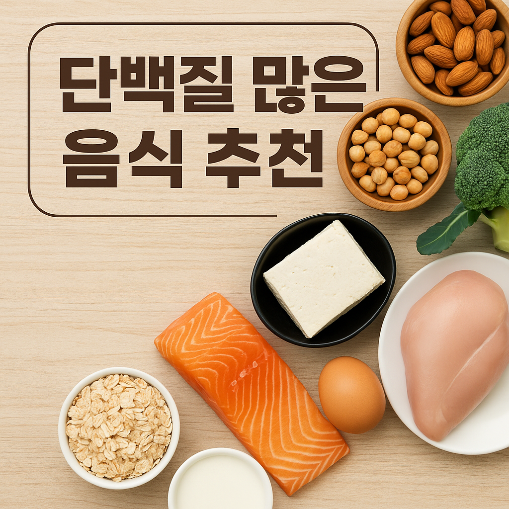 단백질 많은 음식 추천