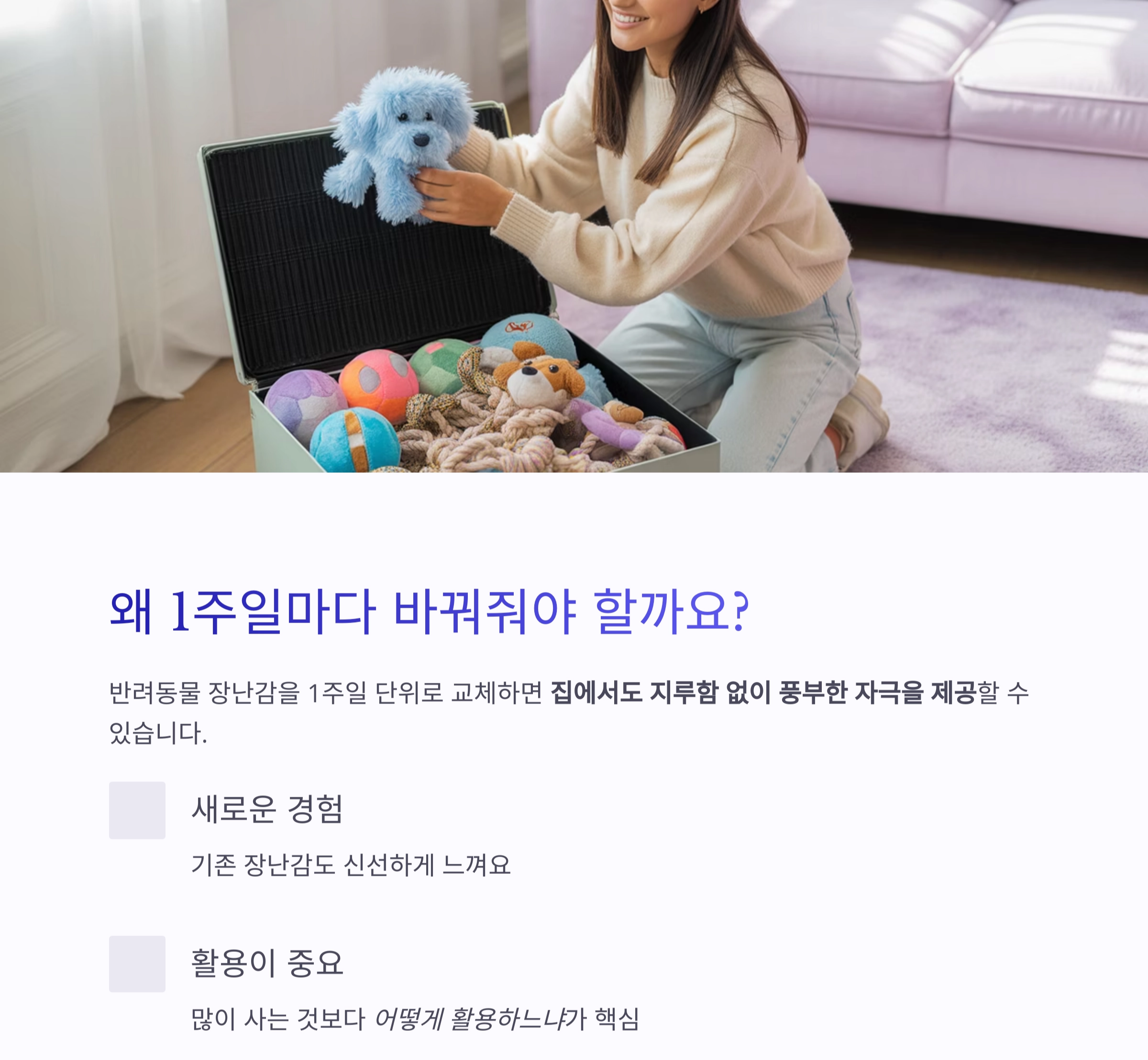 반려동물 장난감, 1주일 단위로 바꿔줘야 하는 이유