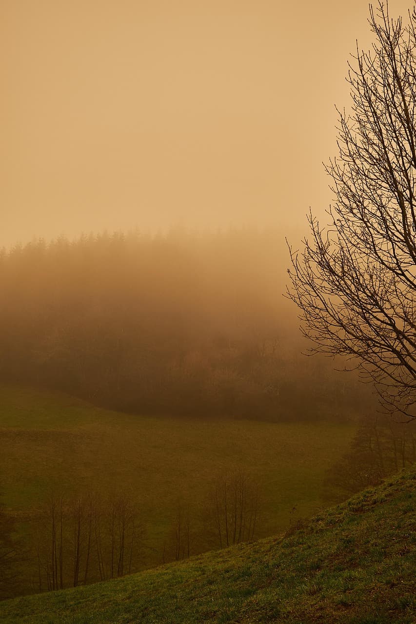 미세먼지: 눈에 보이지 않는 위협