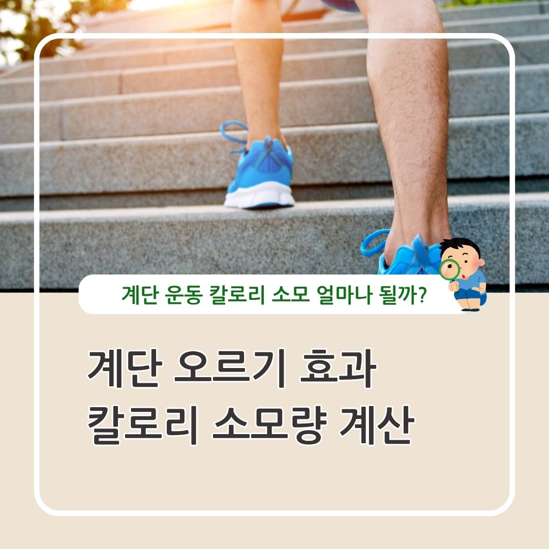 계단 오르기 효과, 칼로리 계산